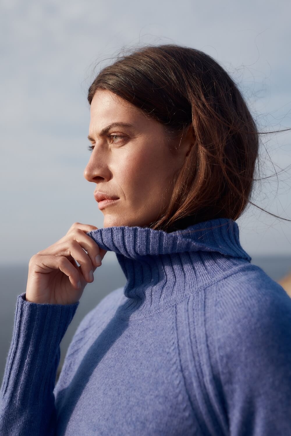 Seasalt - Basset Cove Jumper - Bilberry