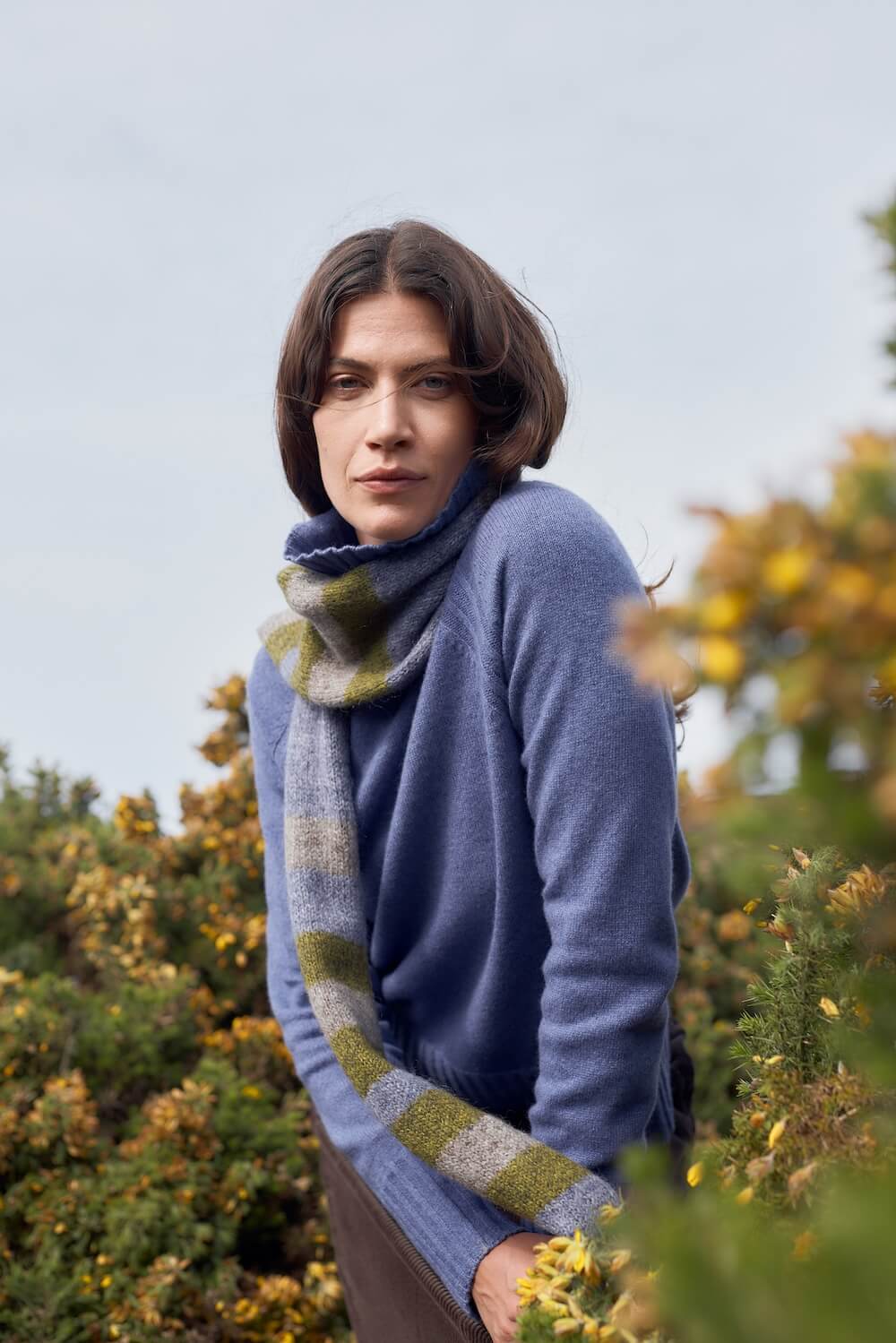 Seasalt - Basset Cove Jumper - Bilberry