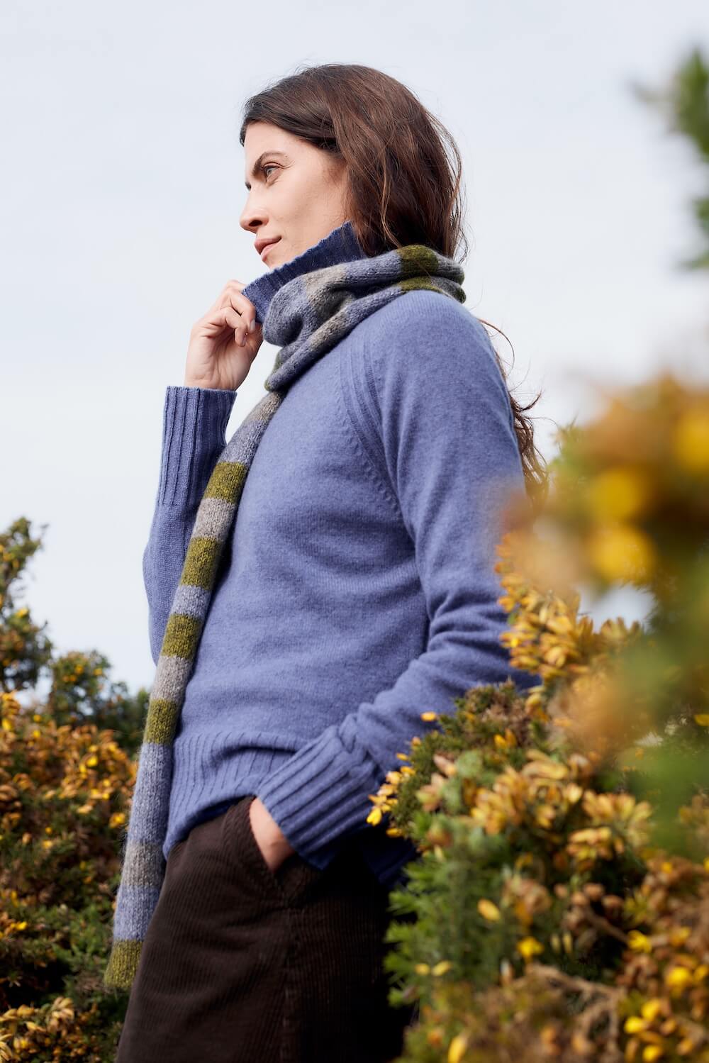 Seasalt - Basset Cove Jumper - Bilberry